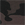Dark Camo